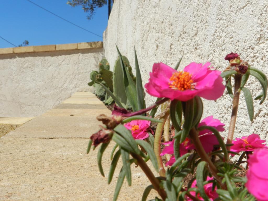 The White Rocks Villa Lido di Noto Exterior photo